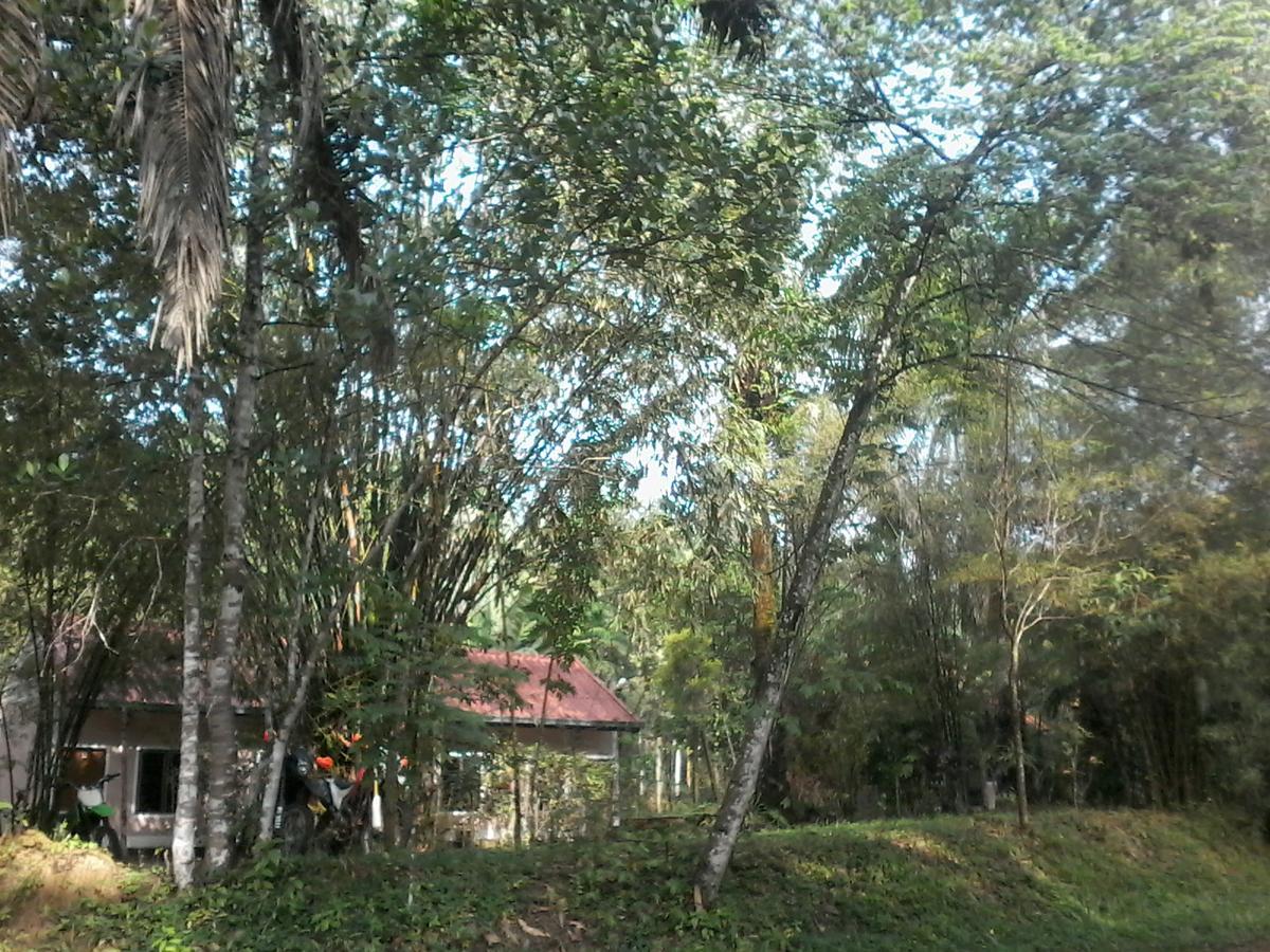Suan Bang Bon, B&B - INN Plai Phraya Bagian luar foto
