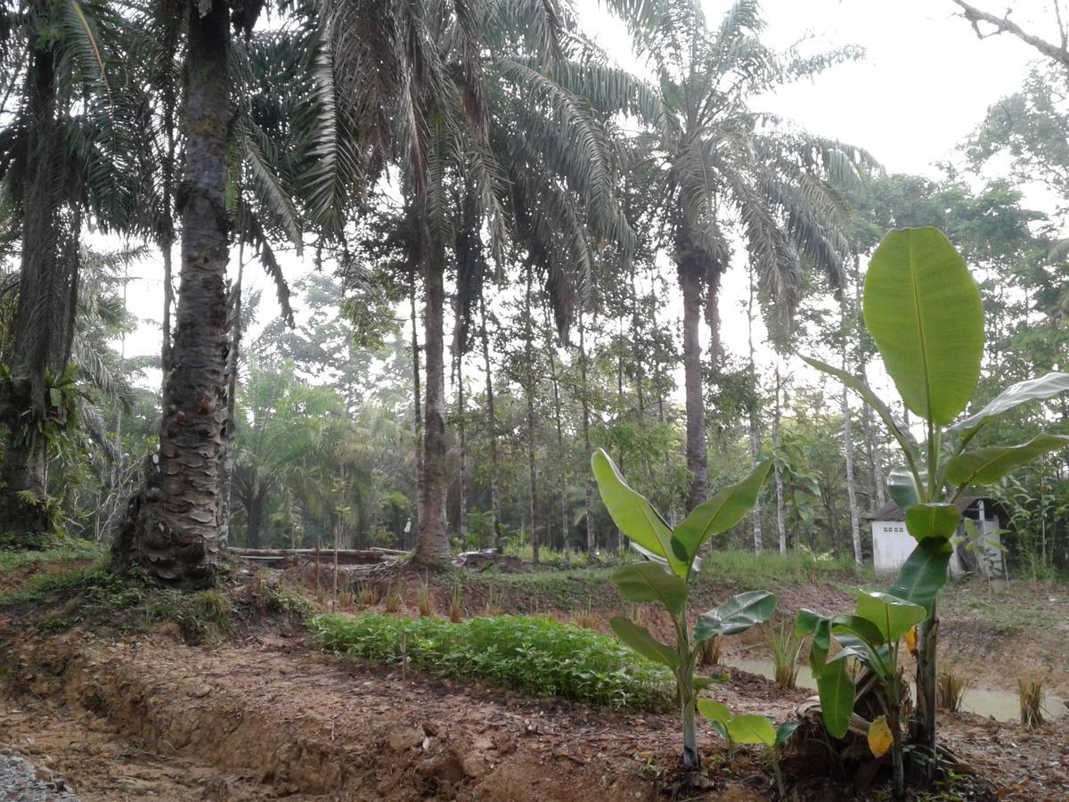 Suan Bang Bon, B&B - INN Plai Phraya Bagian luar foto